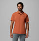 Teak Brown